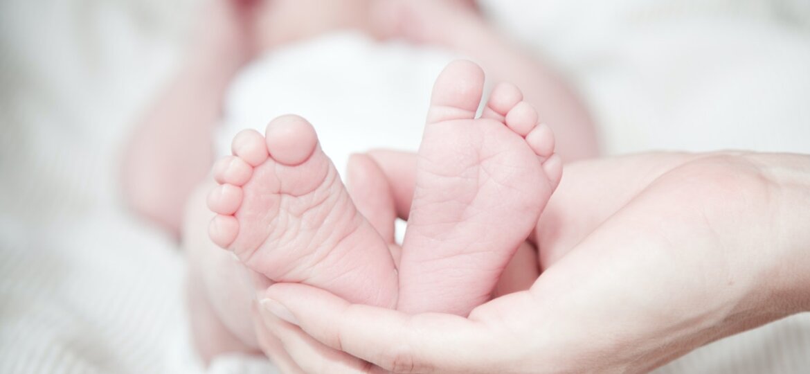 Licencia de Paternidad en Panama